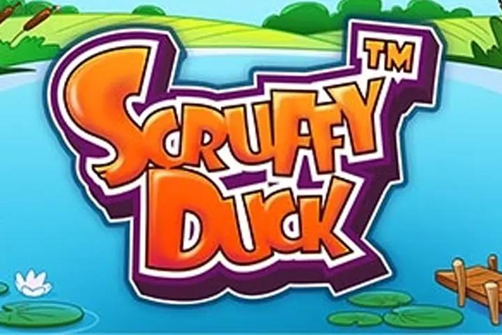 Scruffy Duck