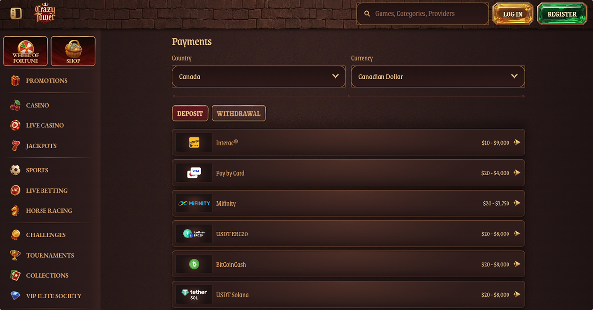 Payment Methods Inside CrazyTower Cashier