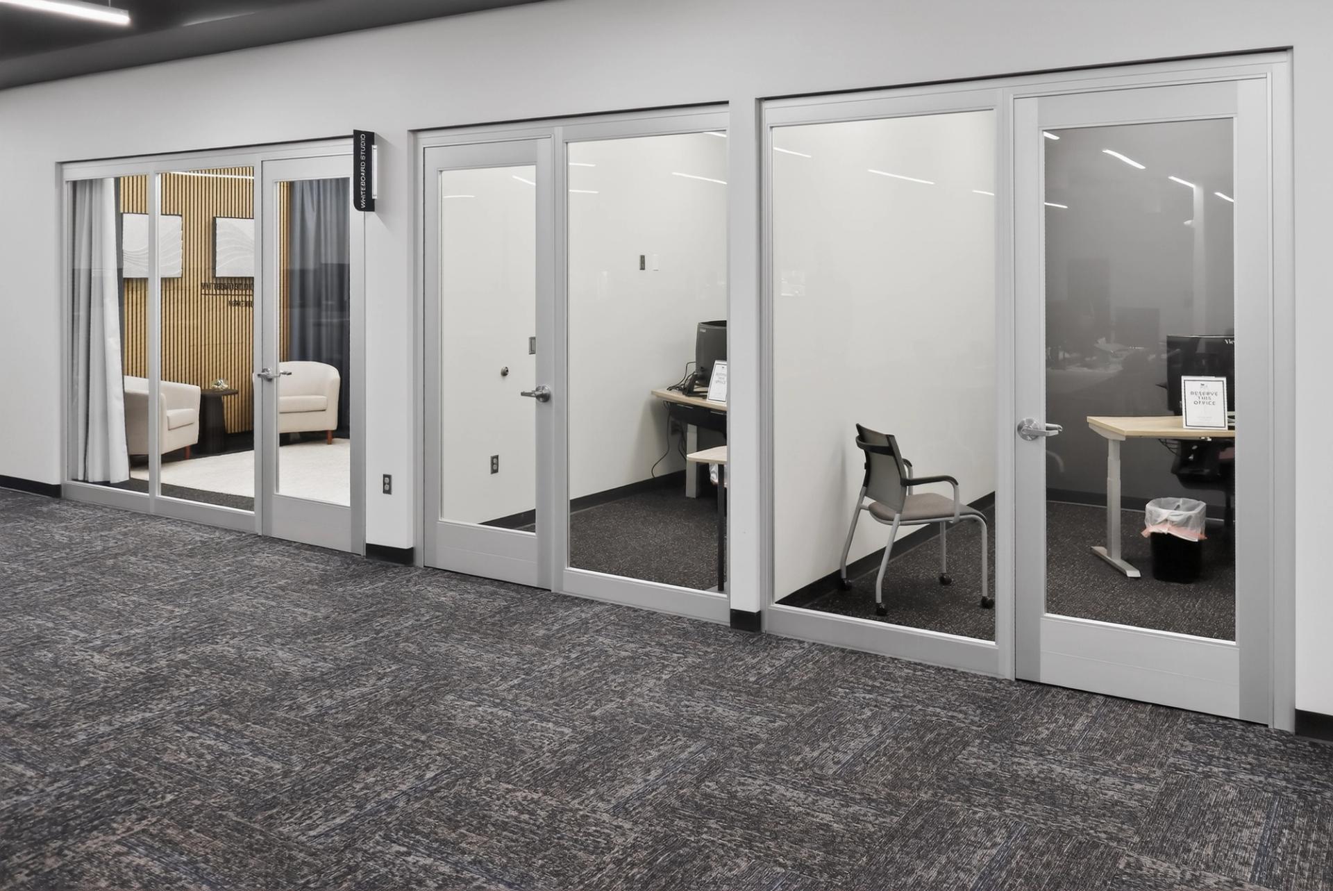 Linea Motion aluminum swing door