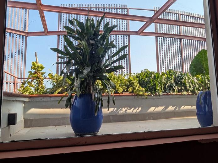Colours + Nature at the Yaba Art Collective