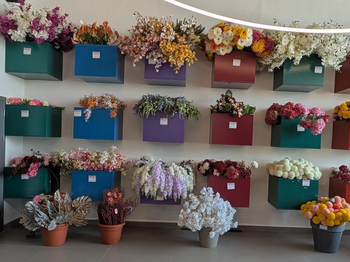 colours and flowers