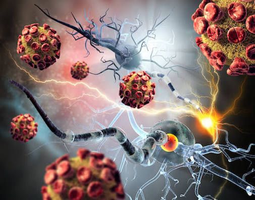 Understanding Autoimmune Disease: What It Is, Who Gets It, and Why