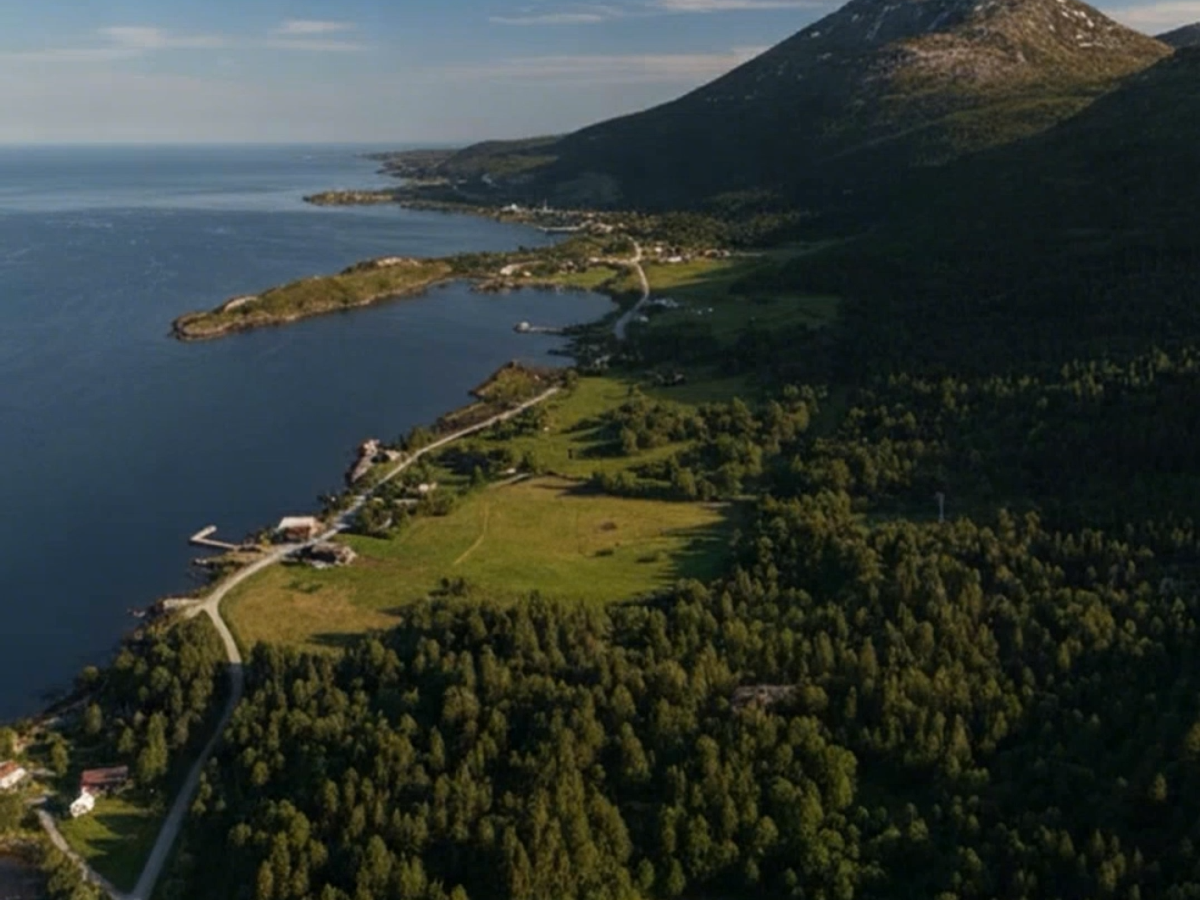 Generated landscape with a fjord, forest, and mountains from the Telenor geodata test.