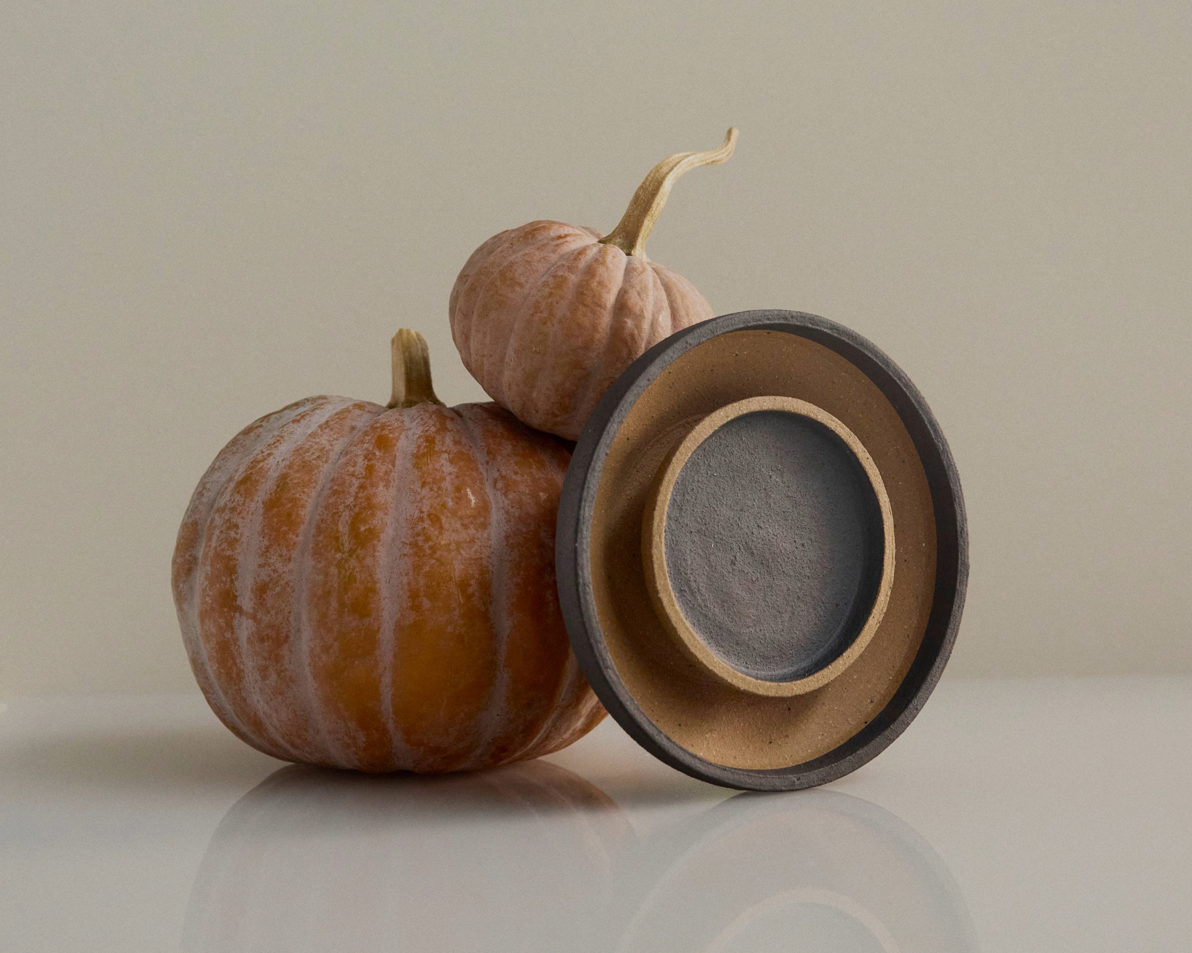 Chorus Wall Light in Mid-Fire Clay, sitting with two small pumpkins.