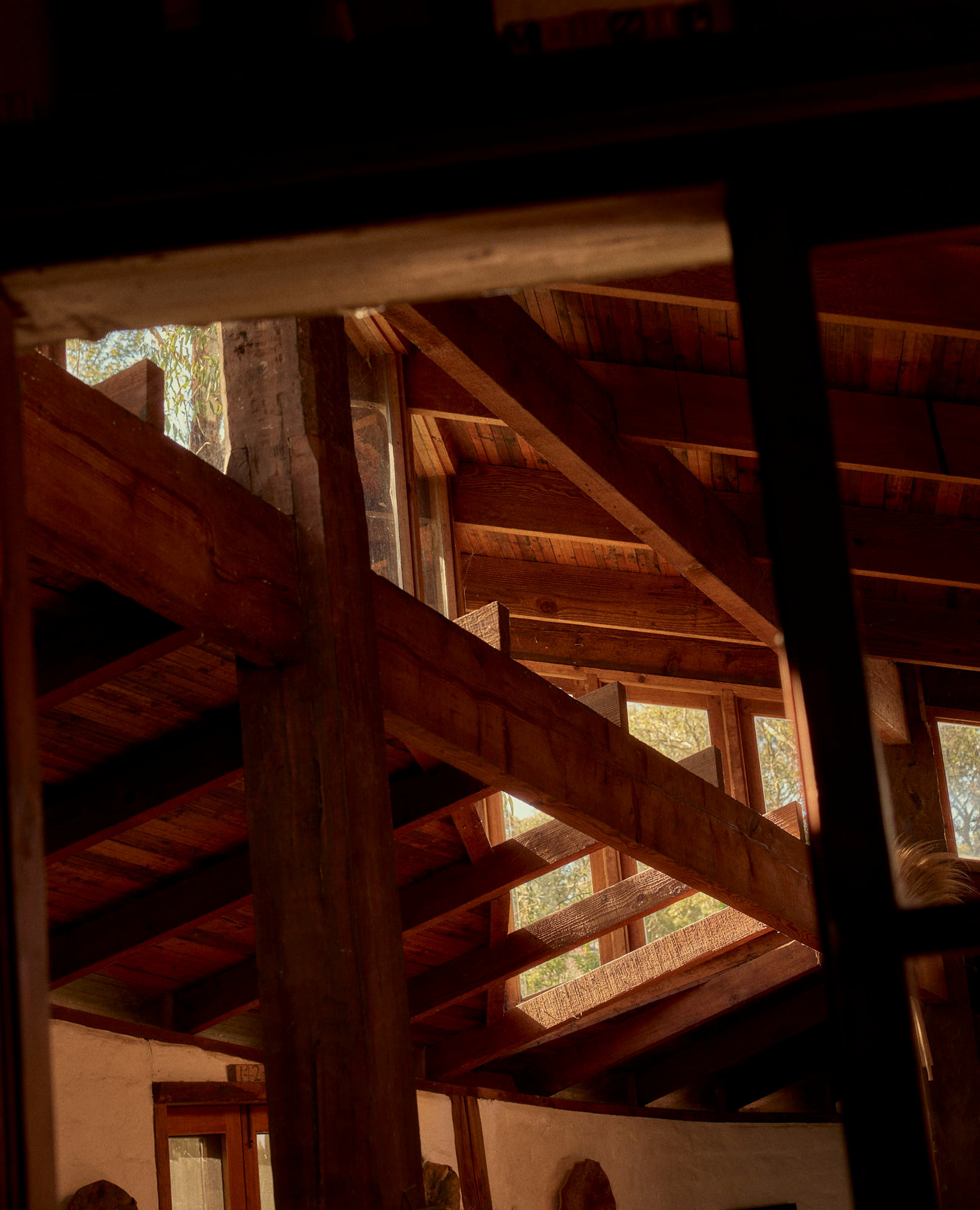 Looking up at the timber ceiling structure in a mudbrick home