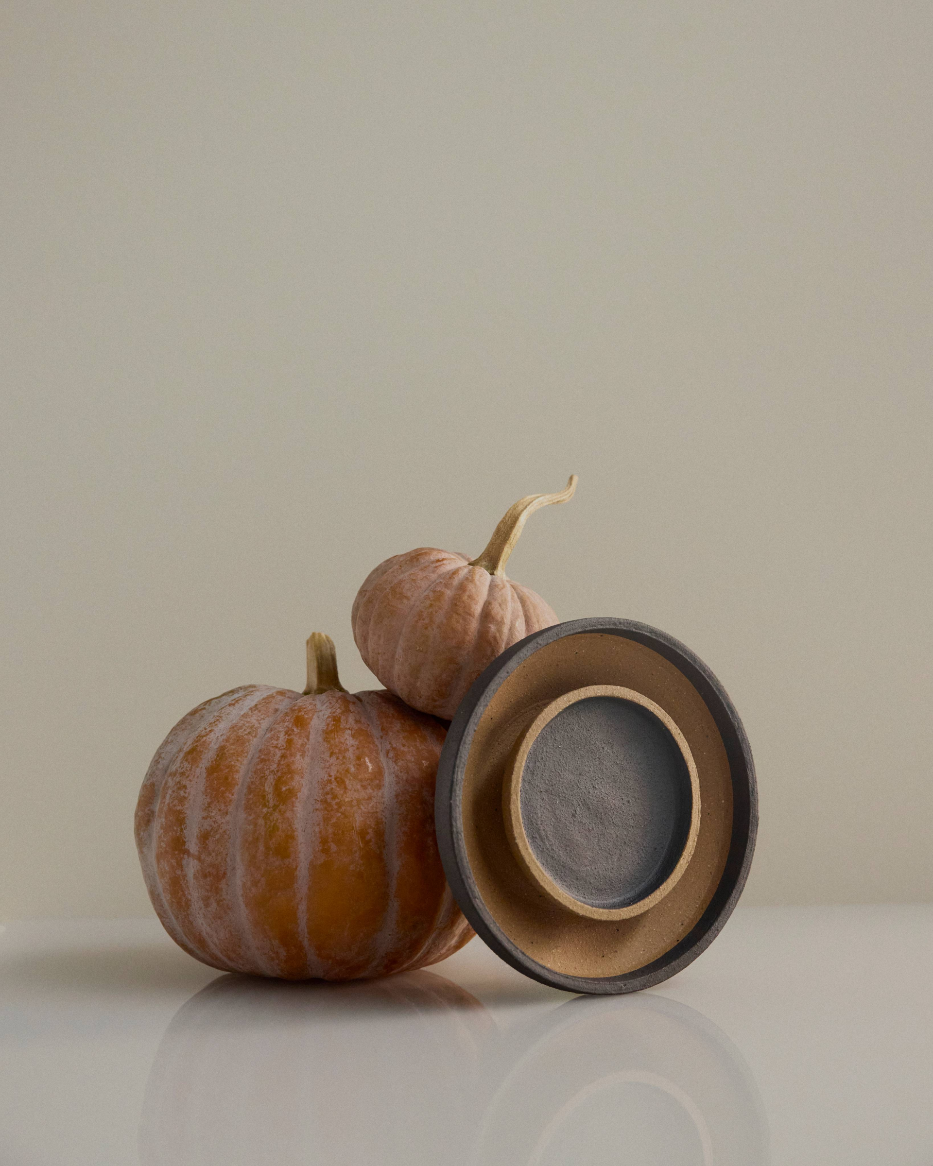 Chorus Wall Light in Mid-Fire Clay, sitting with two small pumpkins.