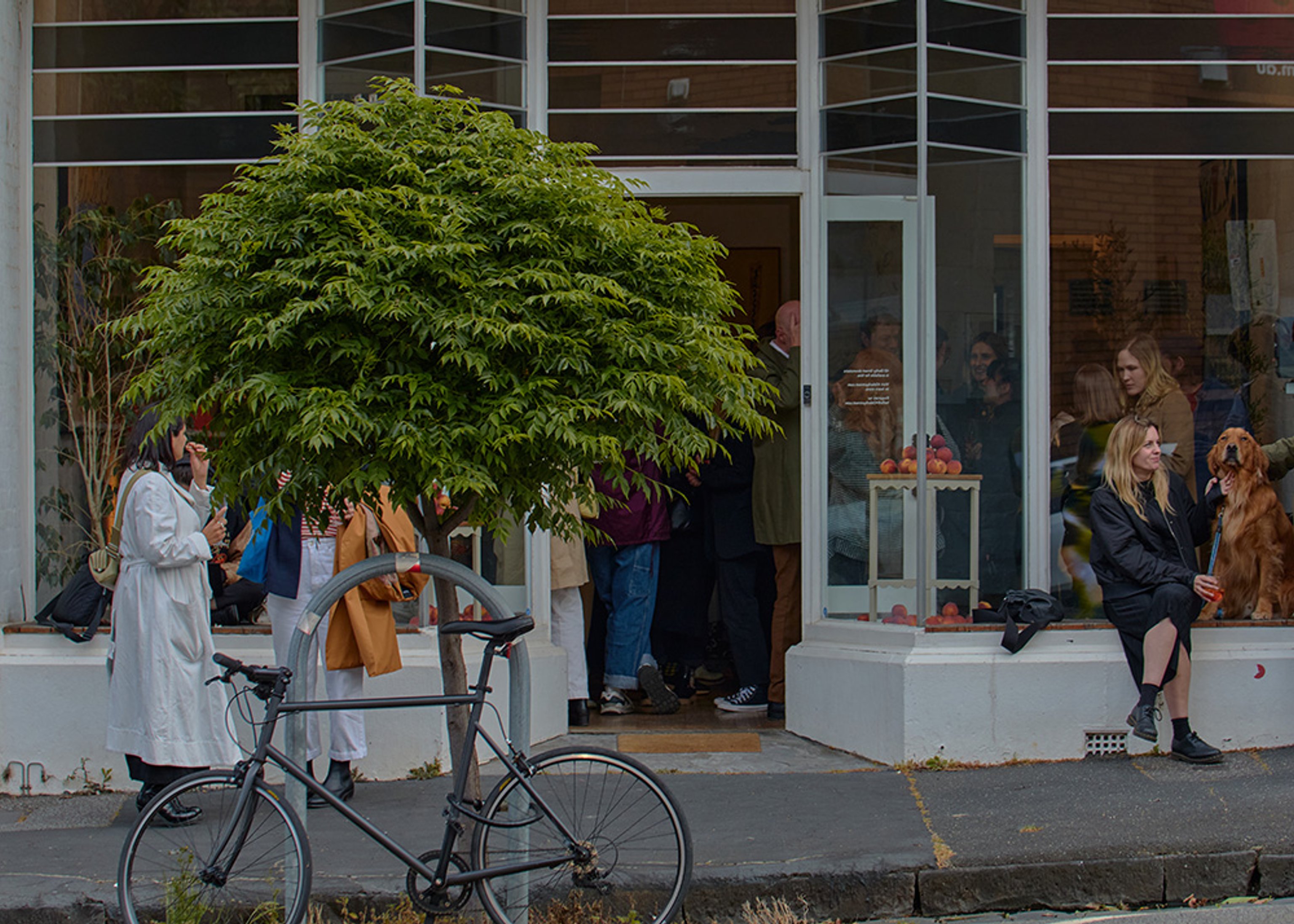 The outside of a small shop. The shop has a open door and large glass windows full of people. There is a small green tree front of frame