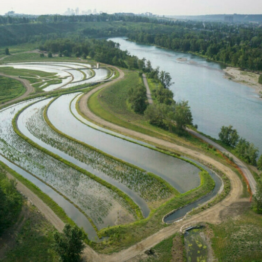 Green grass interlaced with manmade ponds, next to a natural river