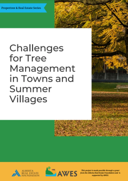 Report cover reading 'Challenges for Tree Management in Towns and Summer Villages'