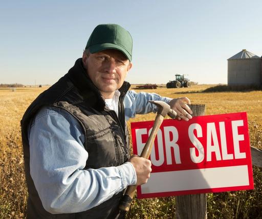 A farmer nails a 'For Sale' sign up to a post in the middle of a field.