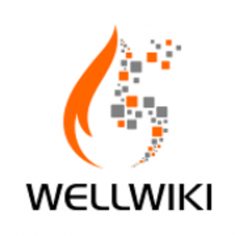 Small Wellwiki logo on a white background