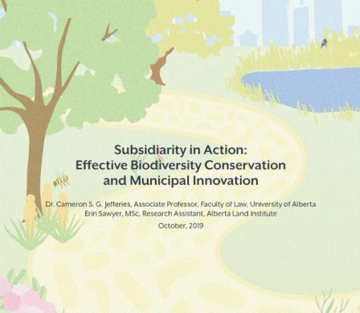 Text reading 'Subsidiary in Action: Effective Biodiversity Conservation and Municipal Innovation' on a background vector graphic of trees and ponds