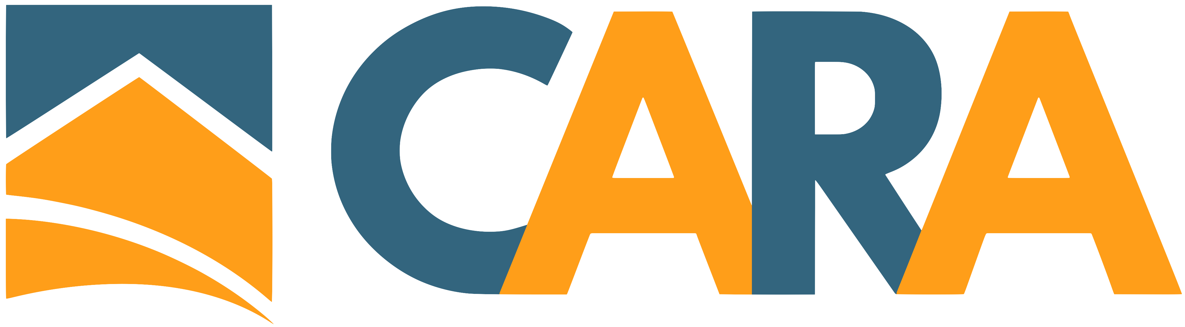 Logo for Central Alberta Realtors Association on a transparent background