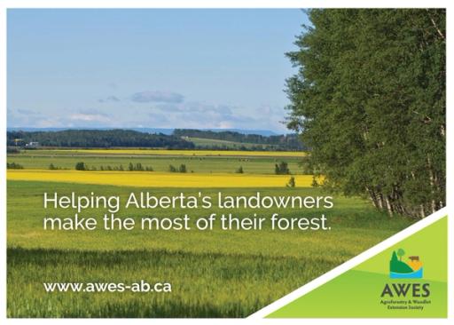 Report cover reading "Helping Alberta's Landowners make the most of their forest. www.awes-ab.ca"