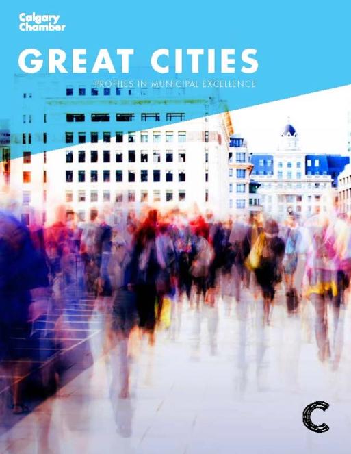 Great Cities: Profiles in Municipal Excellence