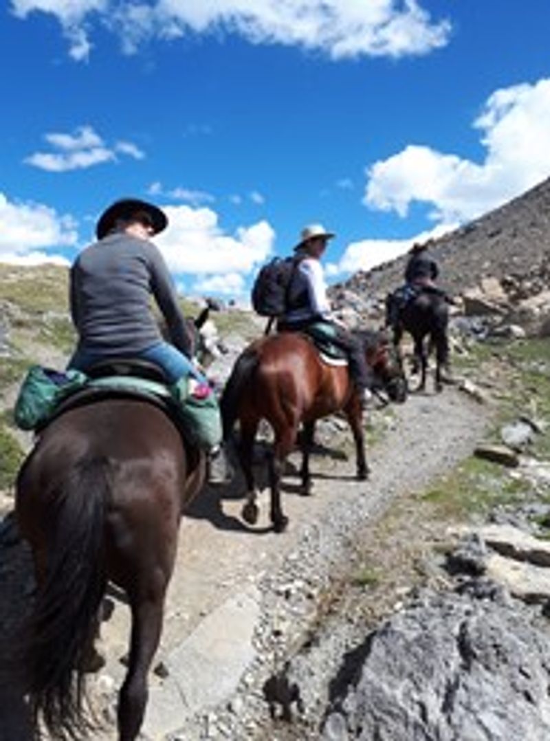 A group of people ride horses through the mountains