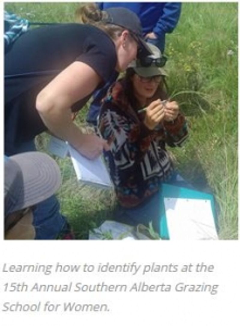 Two people Learning how to identify plants at the 15th Annual Southern Alberta Grazing School for Women.