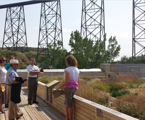 A group of people stand on a wooden viewing platform near a tall bridge on a warm day.