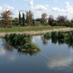 Pond with trees and clouds in the background