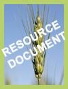 Text reading 'Resource Document' overlaying an up-close photo of a piece of wheat