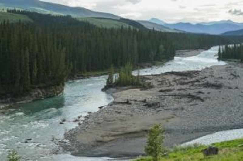 Mountain river flowing through a forest