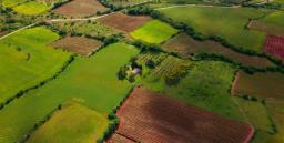 Lush green fields from an aerial view.