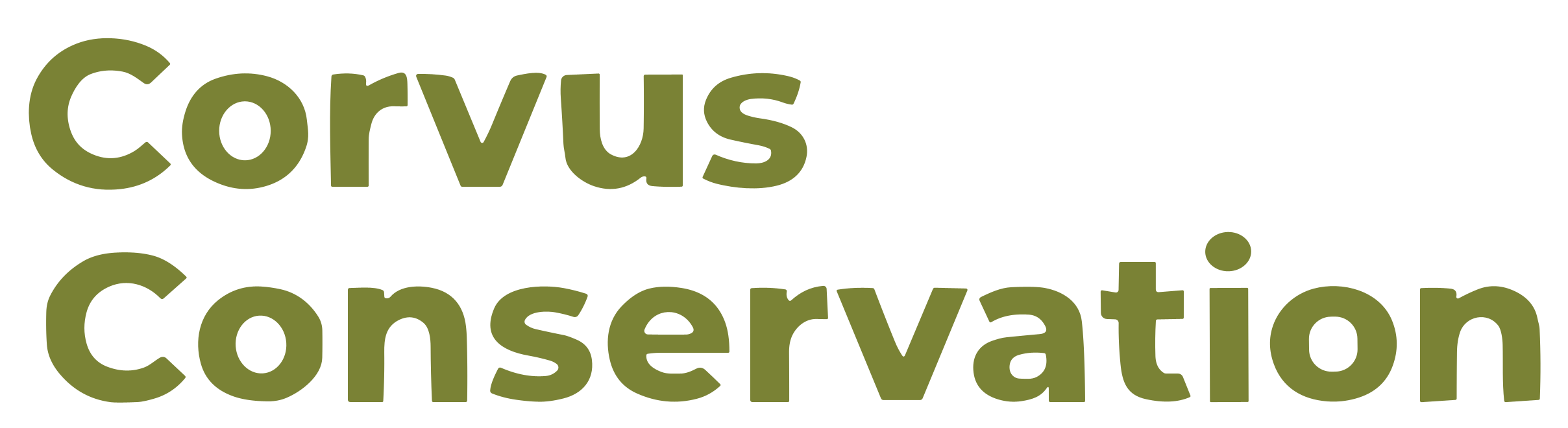 Logo for Corvus Conservation on a transparent background