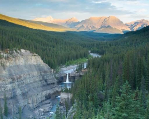 Aerial view of dense mountain forest, with a river and waterfall running through the center.