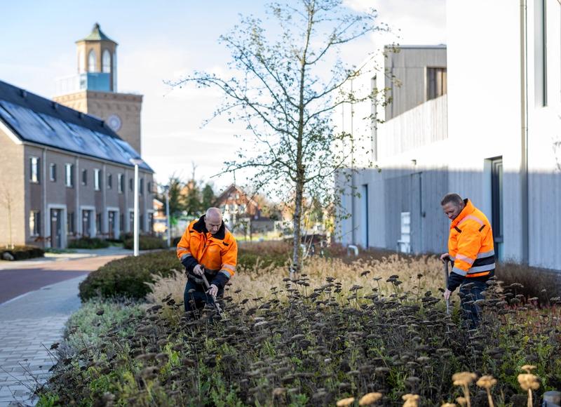 Medewerkers schoffelen in de openbare ruimte