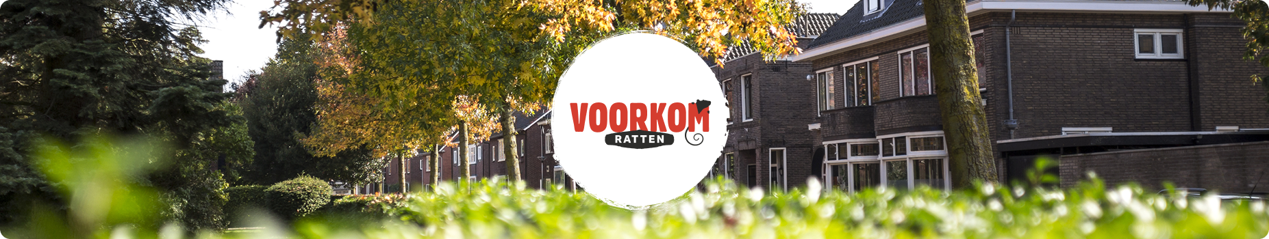 Headerbeeld voorkom ratten