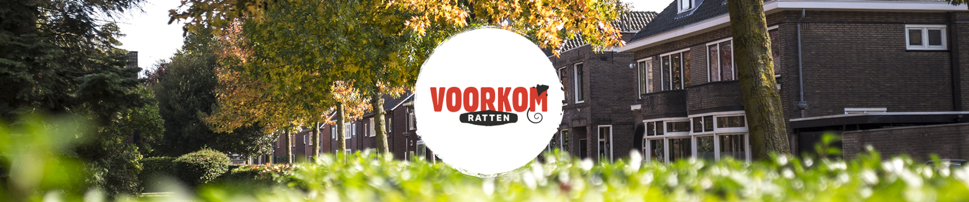 Headerbeeld voorkom ratten