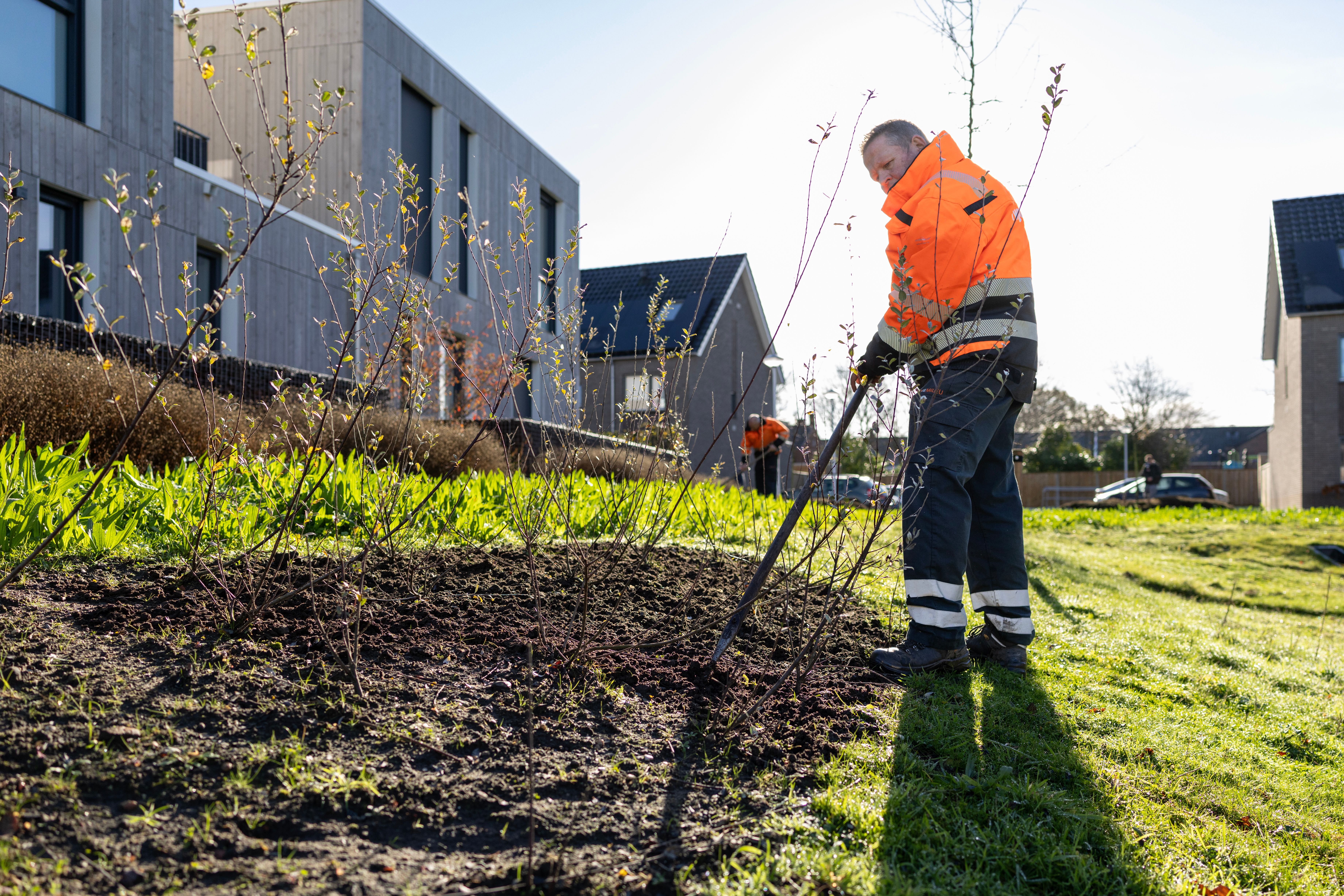 Campagne afbeelding