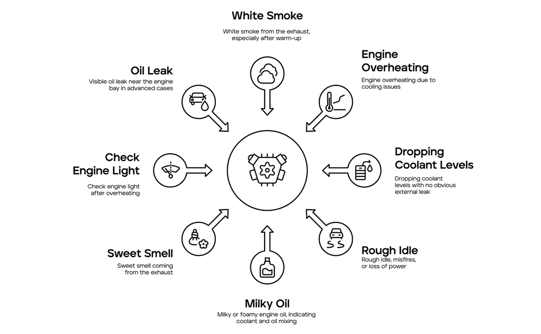 Infographic showing common signs of a blown head gasket, including white exhaust smoke, engine overheating, dropping coolant levels, rough idle or loss of power, milky engine oil, sweet exhaust smell, oil leaks, and a check engine light.