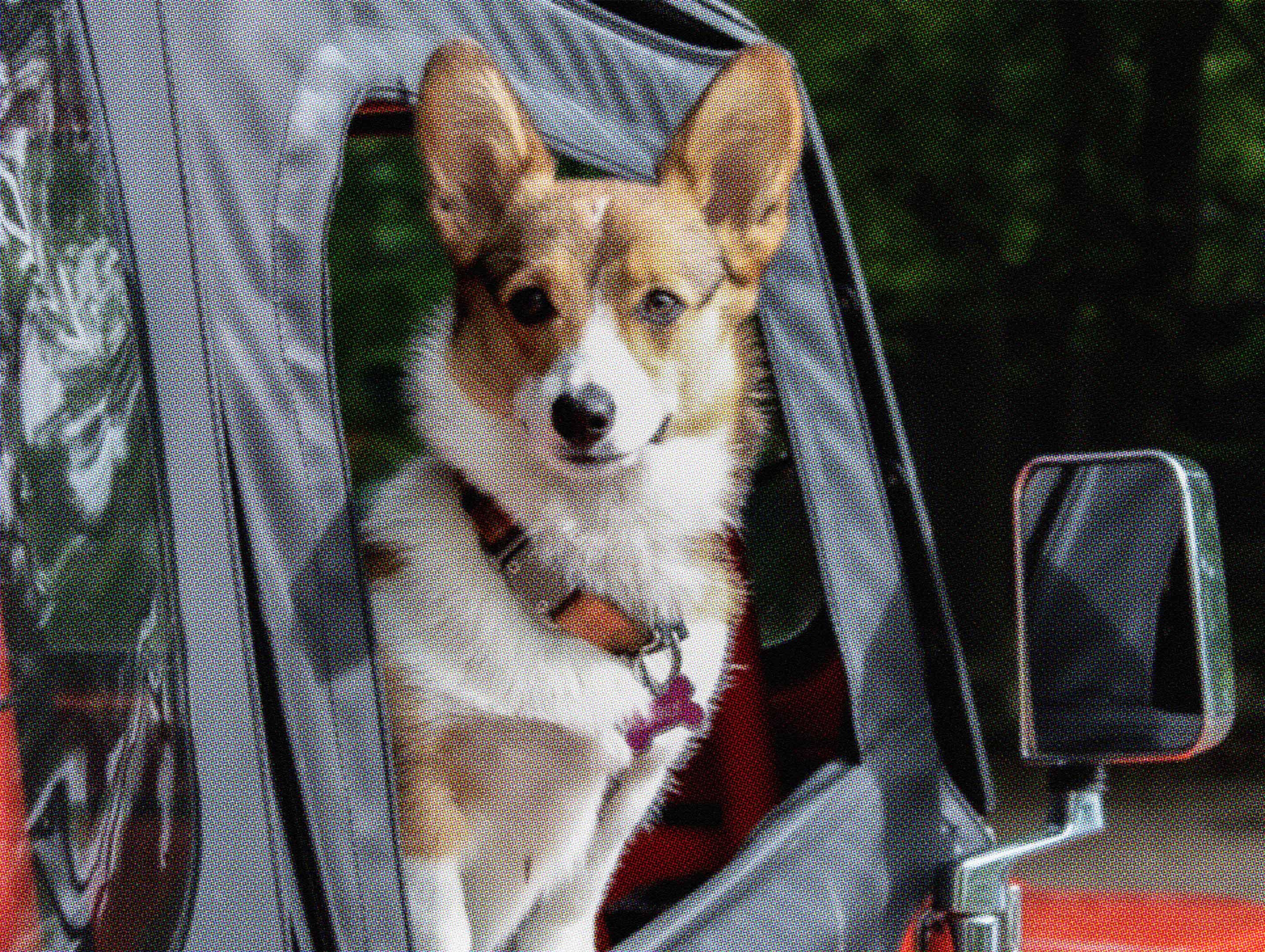 how-long-do-cars-last-peddle