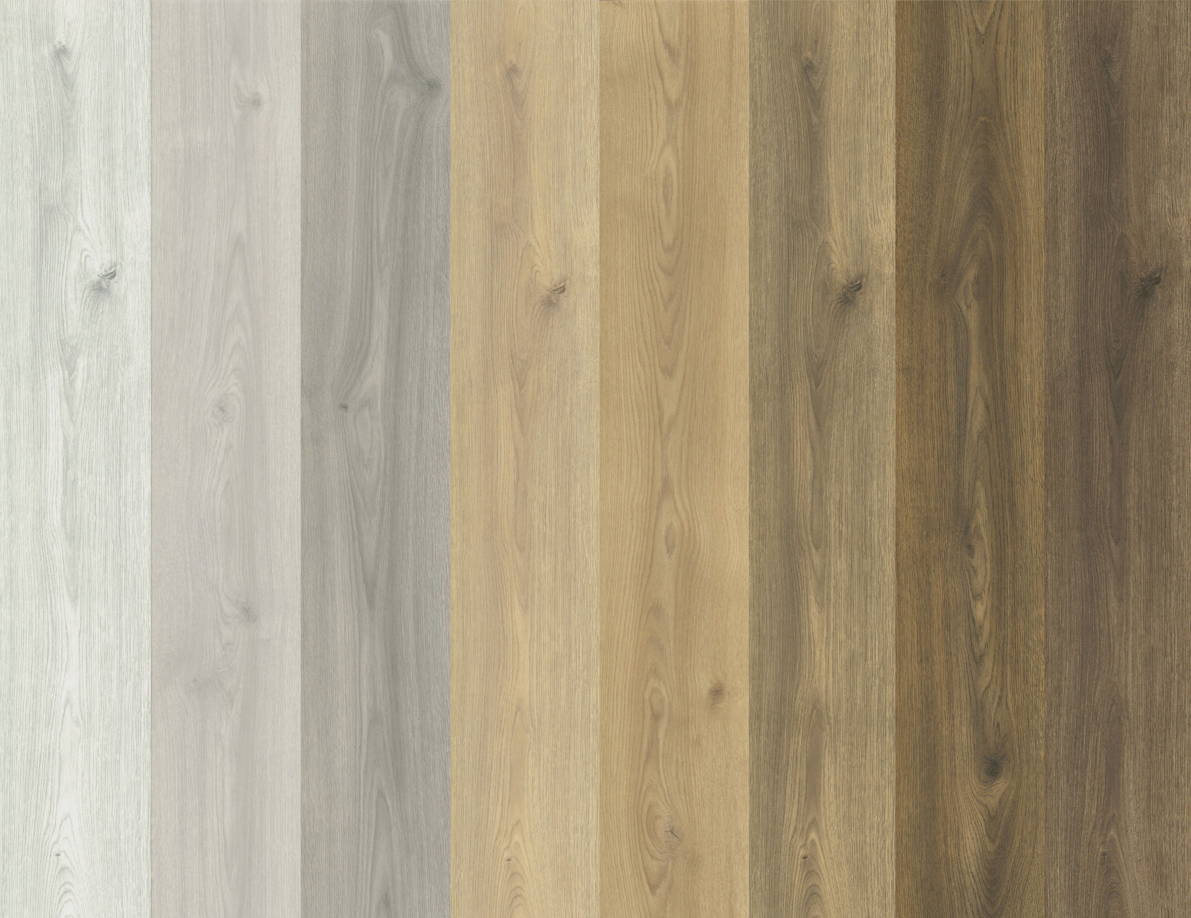 roomwiz texture scanning