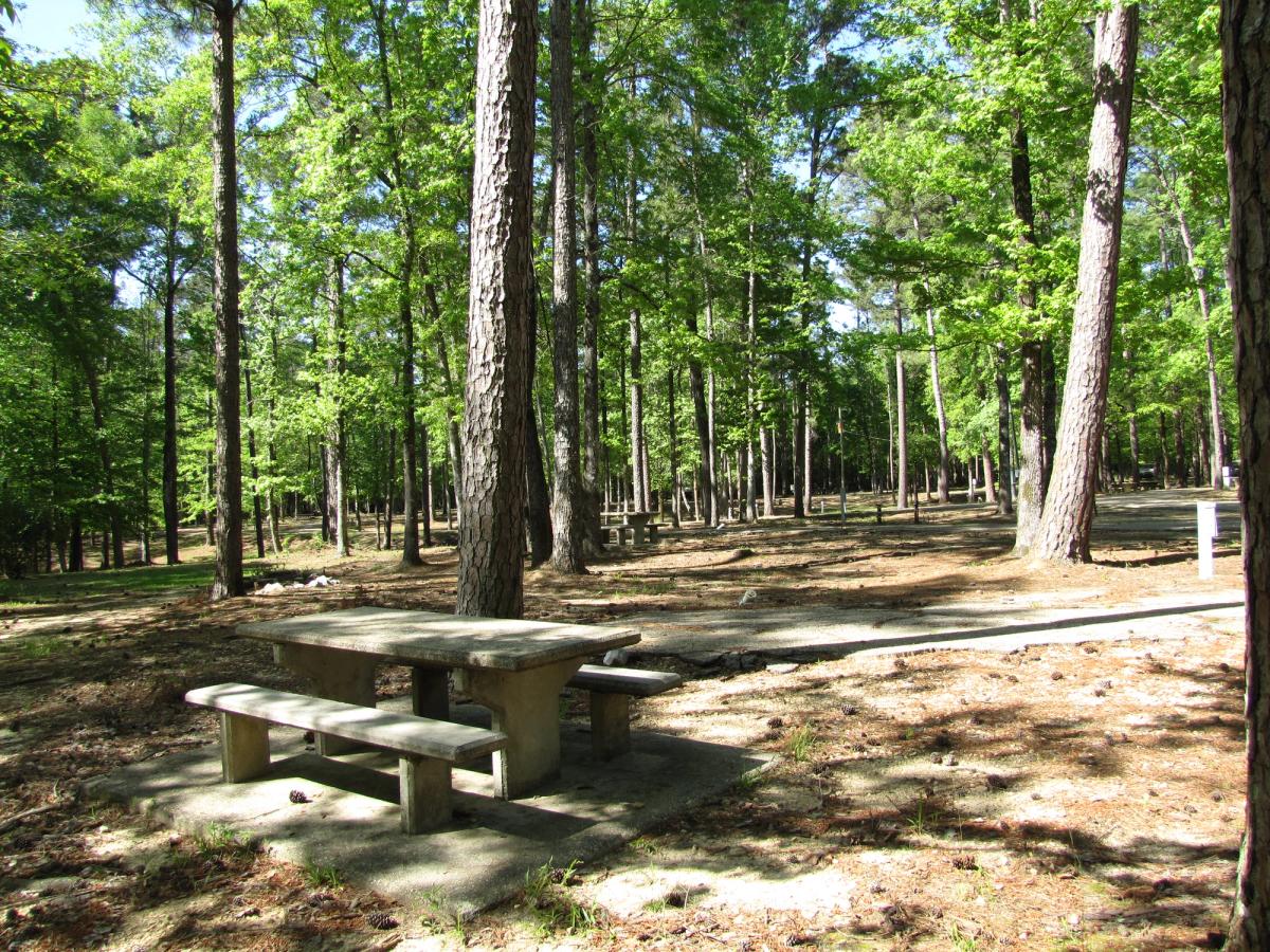 Dry Creek campsite