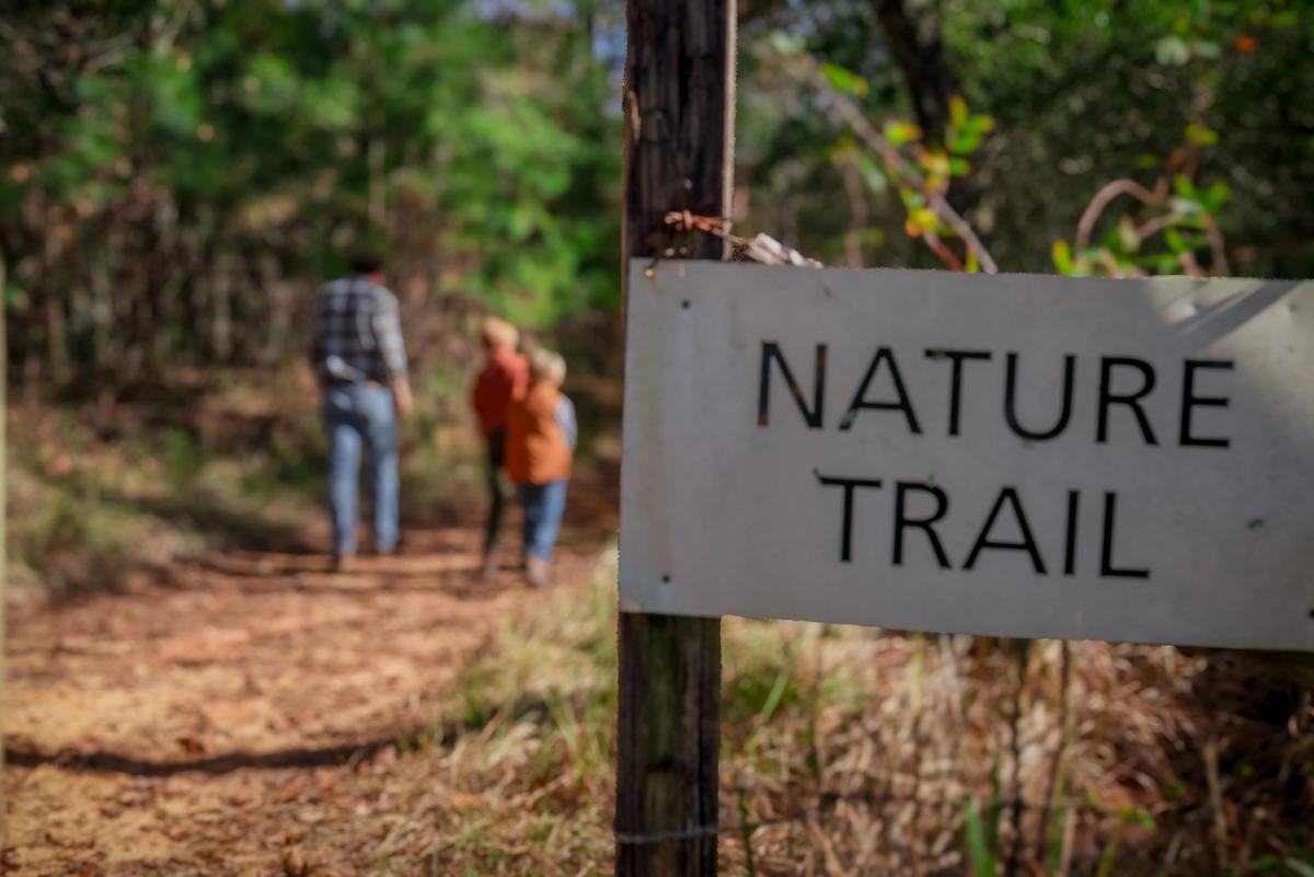 A wooded nature trail in the Pascagoula basin