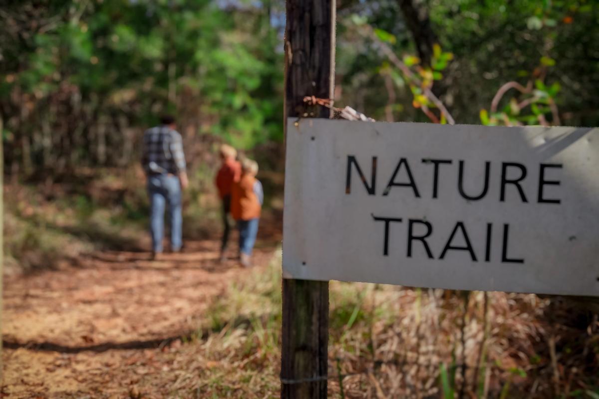 A wooded nature trail in the Pascagoula basin