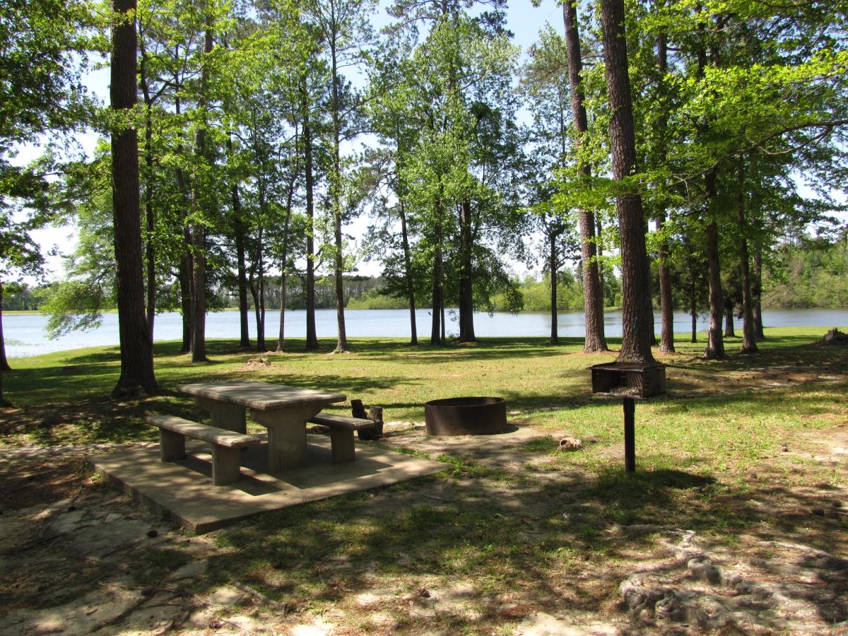 Picnic area