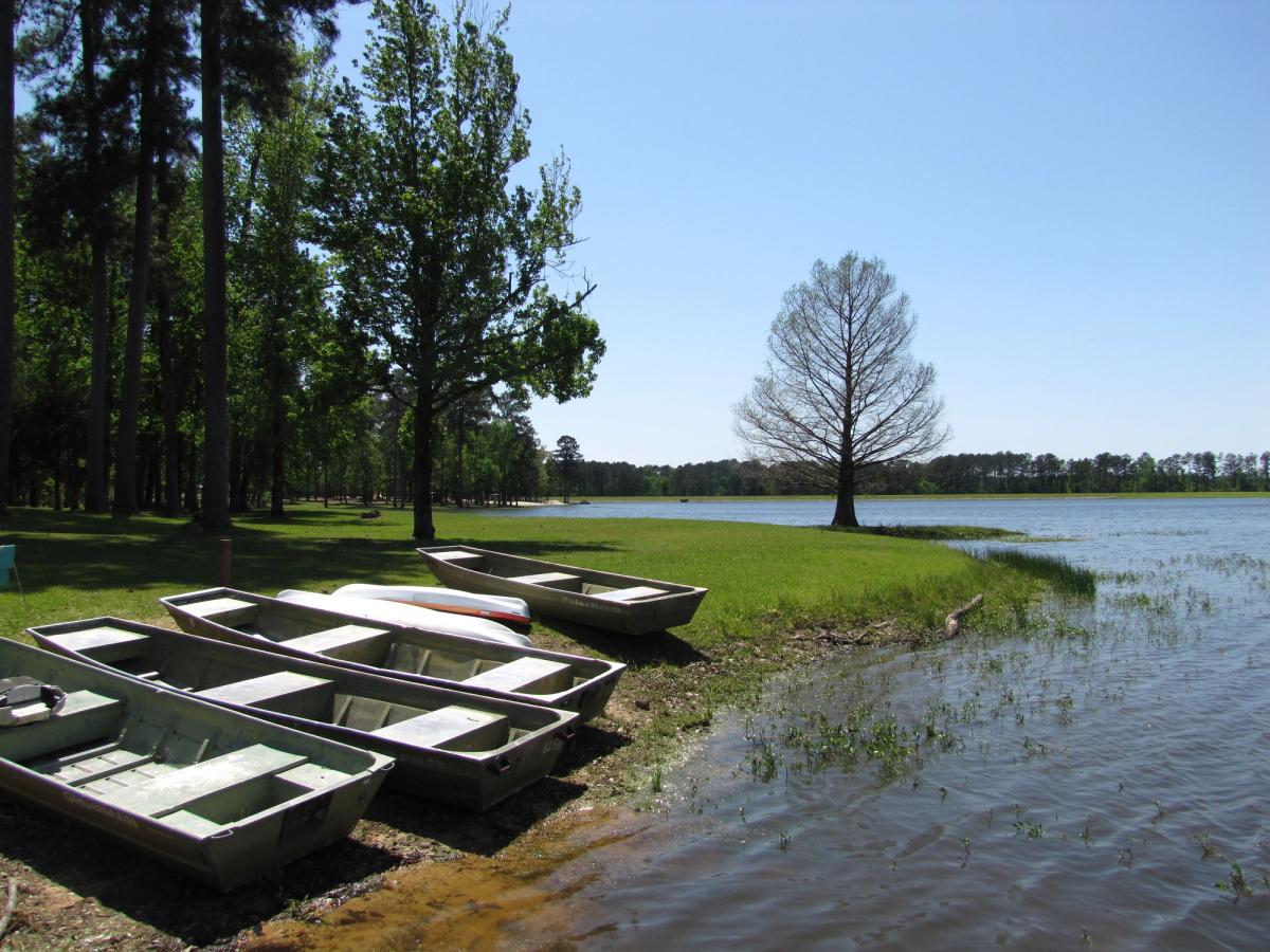 Lakeside