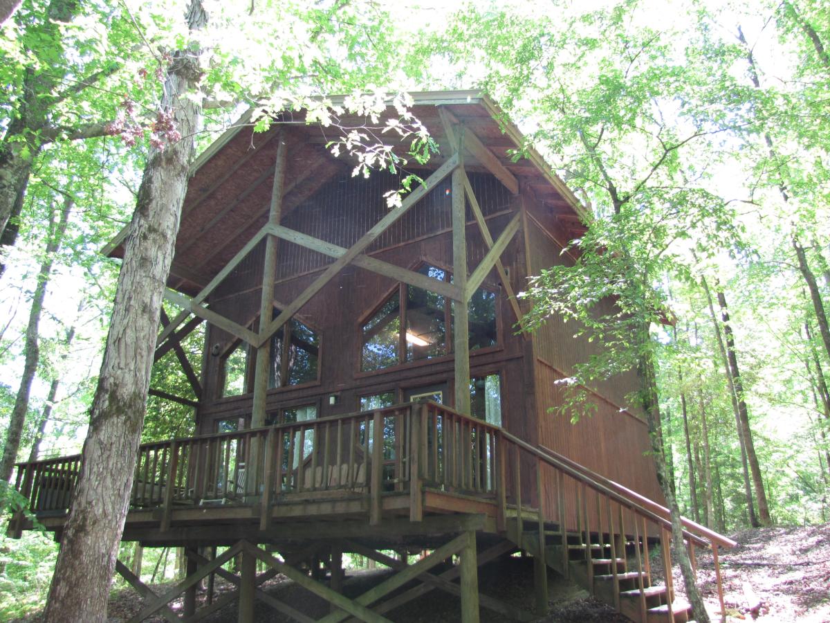 Cabin