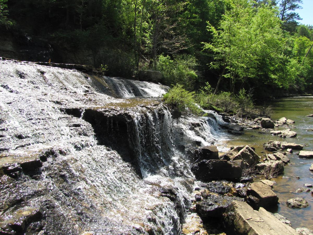 Dunn's Falls