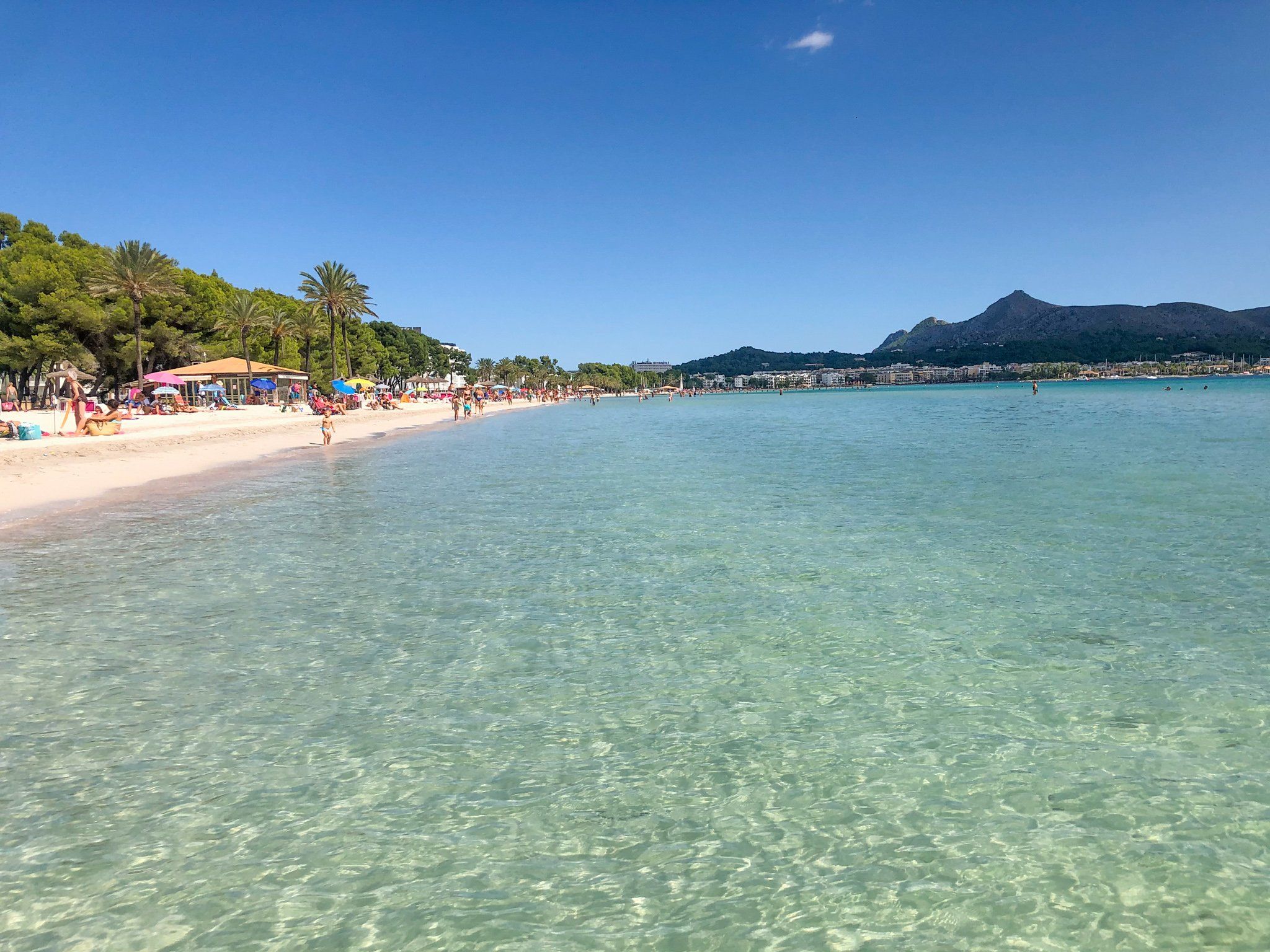 MALLORCA Puerto Alcudia