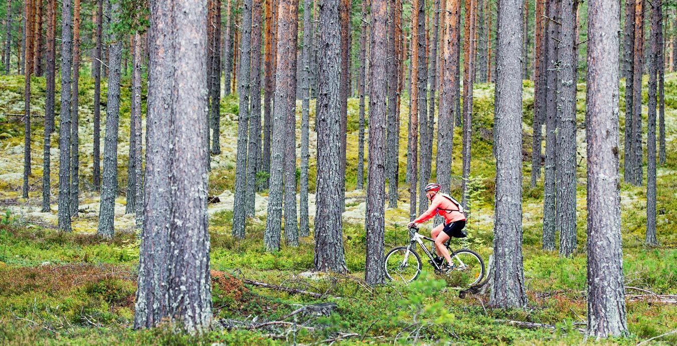 Maxpulse - aktive reiser, Tur til Cykelvasan med Maxpulse