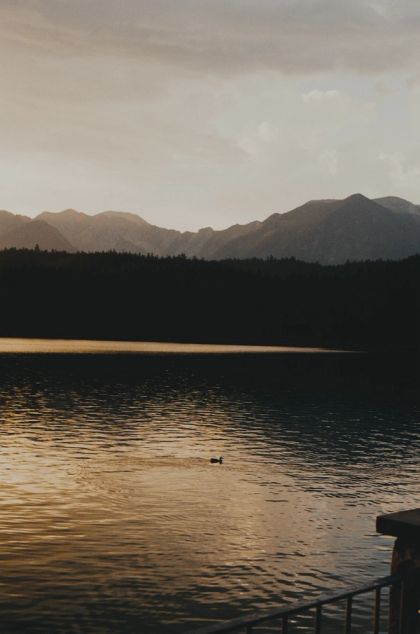 Where the Day Ends - Ducks go home
