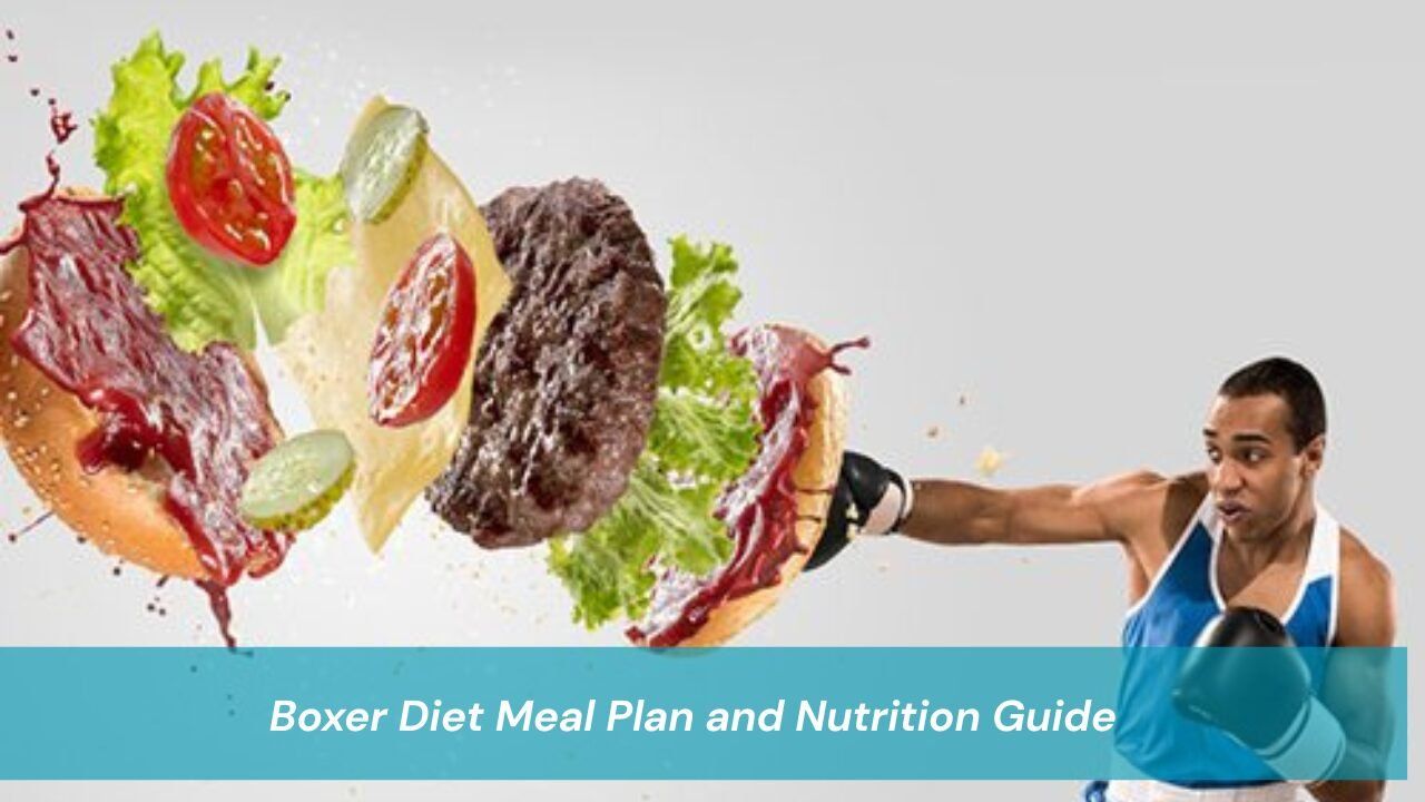 Boxer Diet Best Foods and Meal Plan for Fighters | Boxing Essential