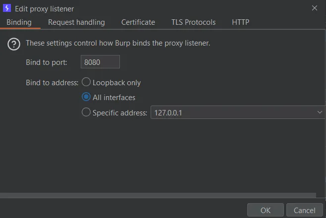 Burp Suite Proxy Setup