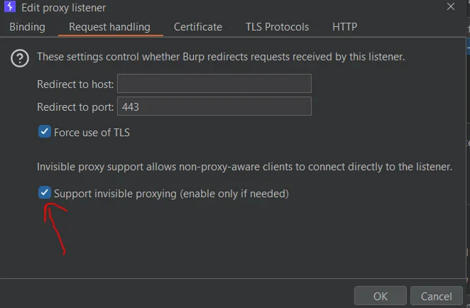 Burp Suite Configuration