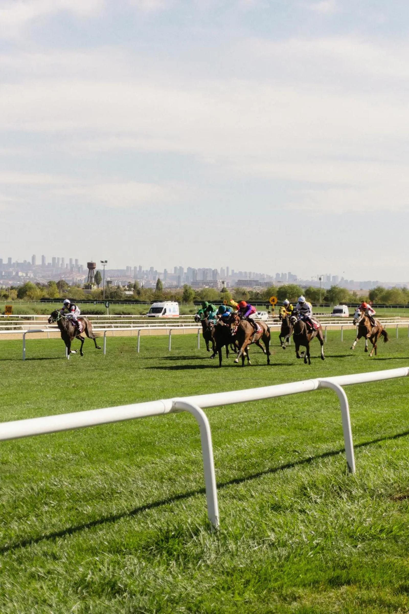 Thoroughbred horse racing at Flemington during the Melbourne Cup Carnival