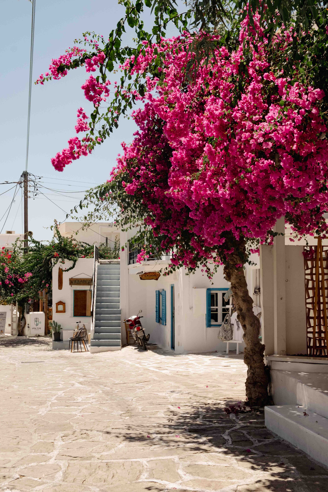 Pink bougainvillea spills over a white Greek street with blue shutters, a flight of stairs and a red scooter by a doorway.